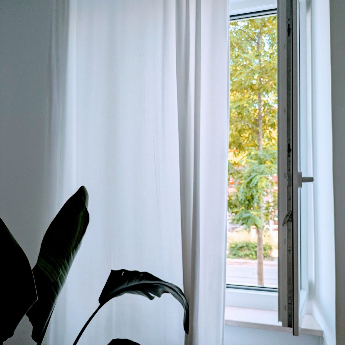 Fenster mit Blick ins Grüne